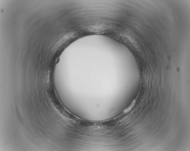 X0000059040404200511041642