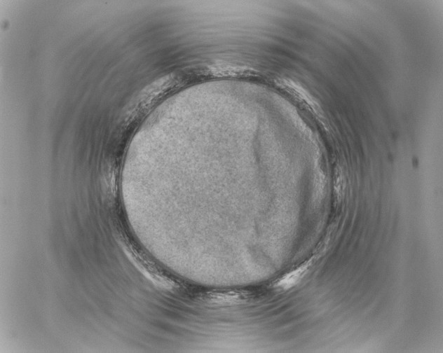 X0000059040405200511041642