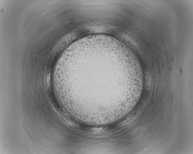 X0000059040406200511041642