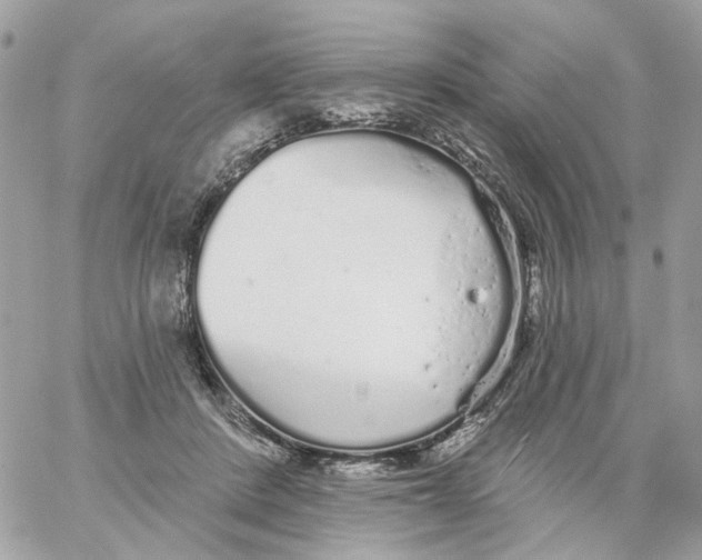 X0000059040408200511041642