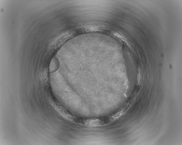 X0000059040410200511041642