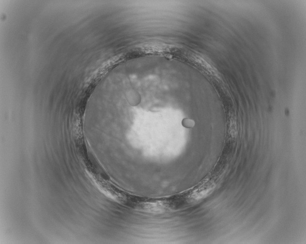 X0000059040411200511041642