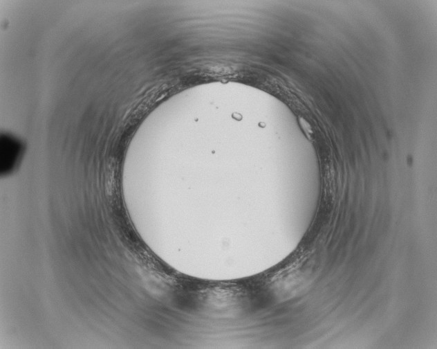 X0000059040412200511041642