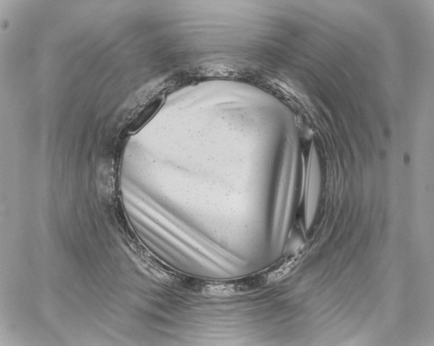 X0000059040413200511041642