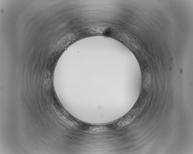 X0000059040414200511041642