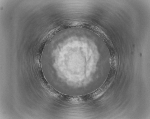 X0000059040415200511041642