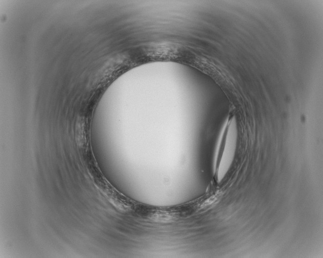 X0000059040416200511041641