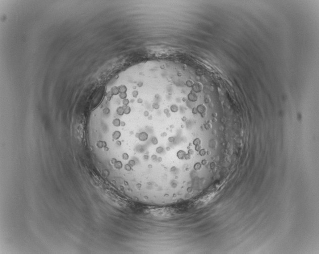 X0000059040417200511041641