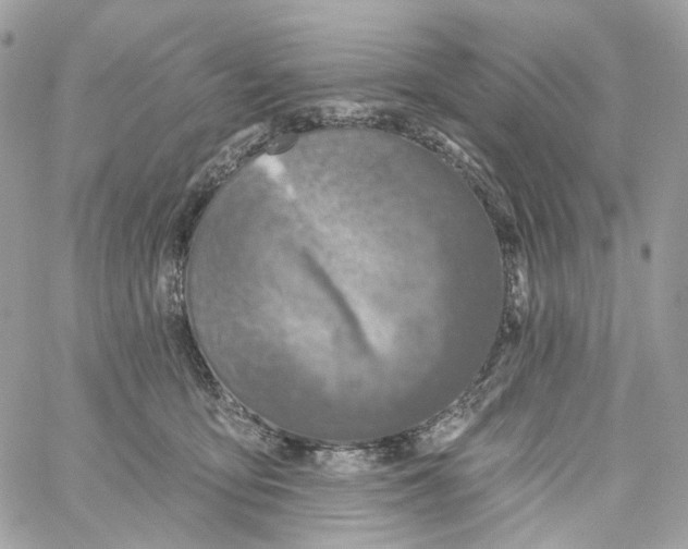 X0000059040419200511041641