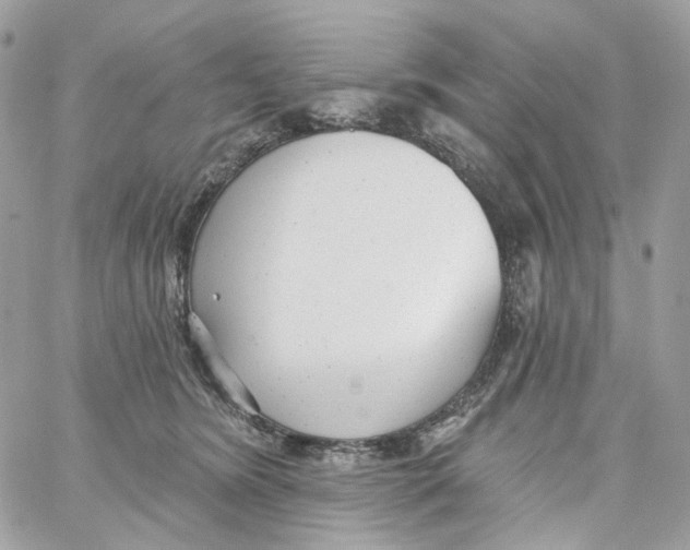 X0000059040420200511041641