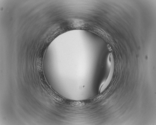 X0000059040421200511041641