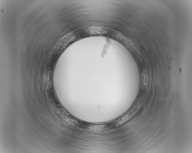 X0000059040422200511041641