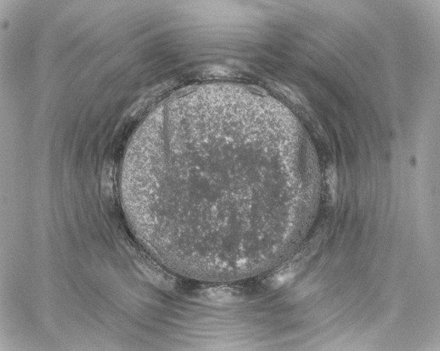 X0000059040423200511041641