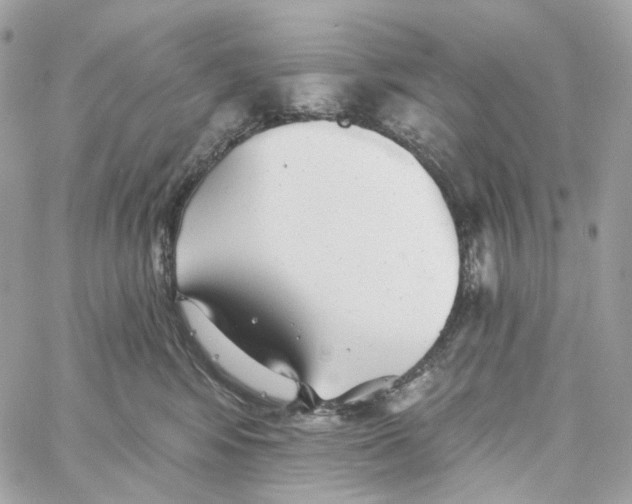 X0000059040424200511041641