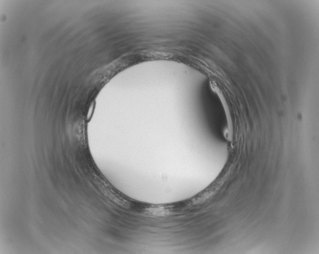 X0000059040425200511041641