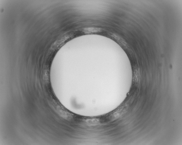 X0000059040426200511041641