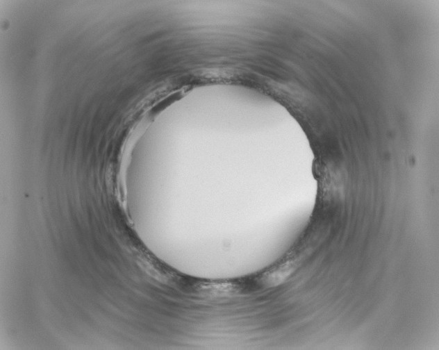 X0000059040428200511041641