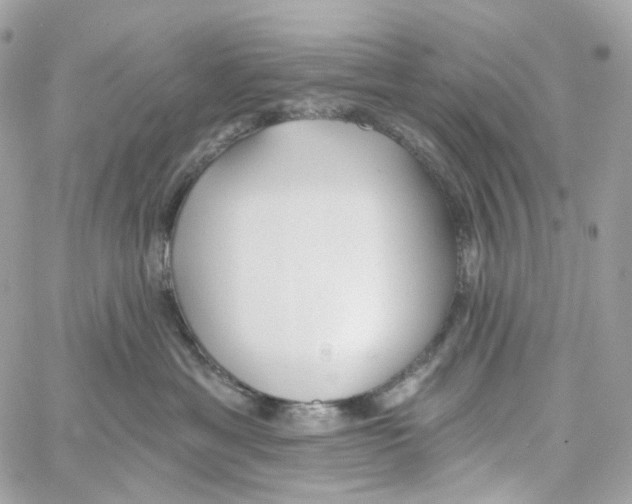 X0000059040429200511041641