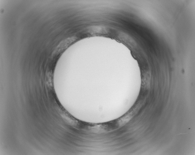 X0000059040430200511041641