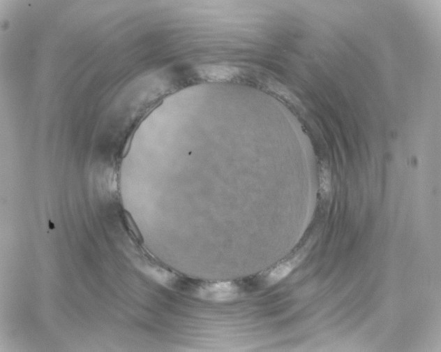 X0000059040431200511041641