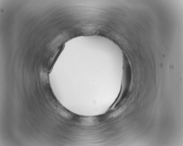 X0000059040432200511041641