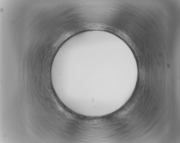 X0000059040433200511041640