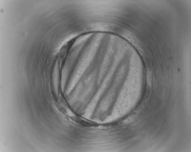 X0000059040434200511041640