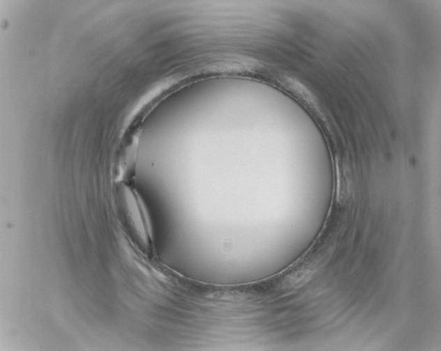 X0000059040435200511041640