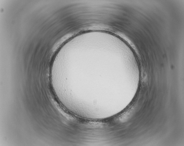 X0000059040437200511041640