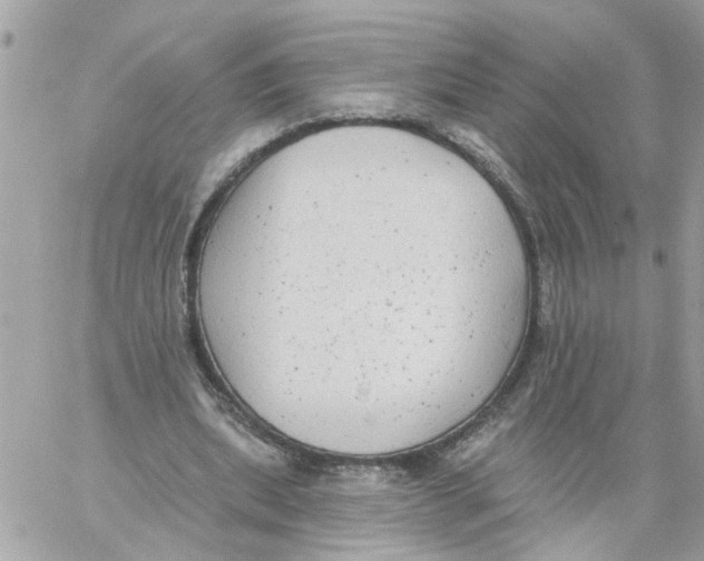 X0000059040439200511041641