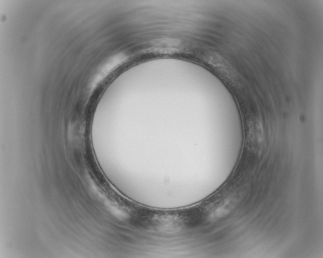 X0000059040440200511041641