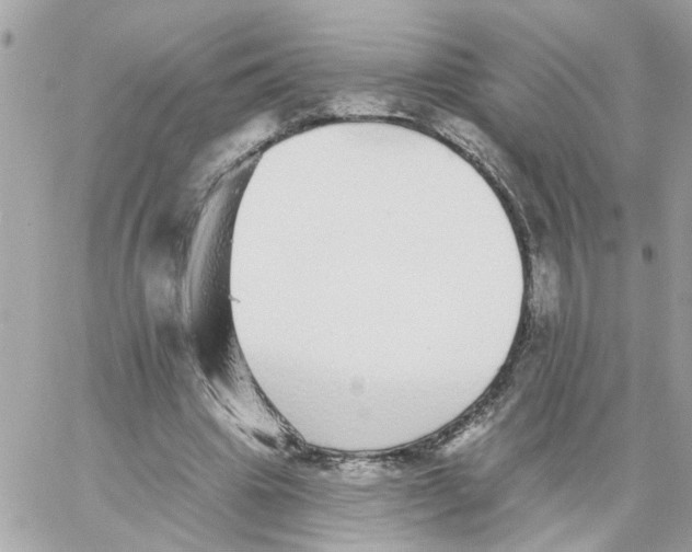 X0000059040441200511041641