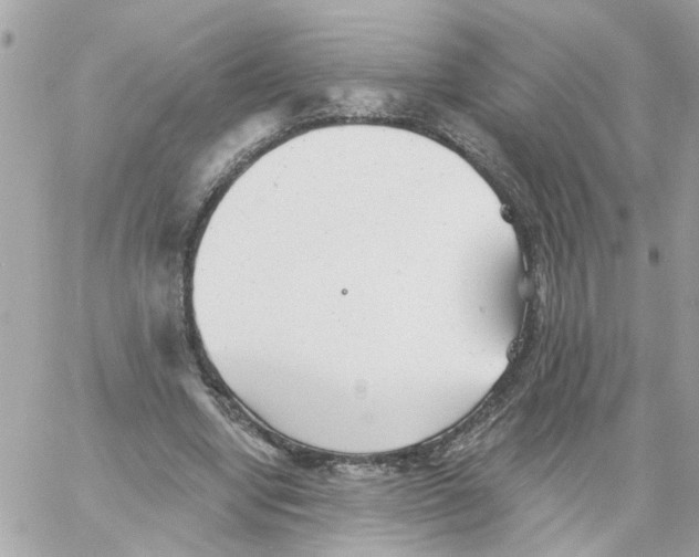 X0000059040442200511041641