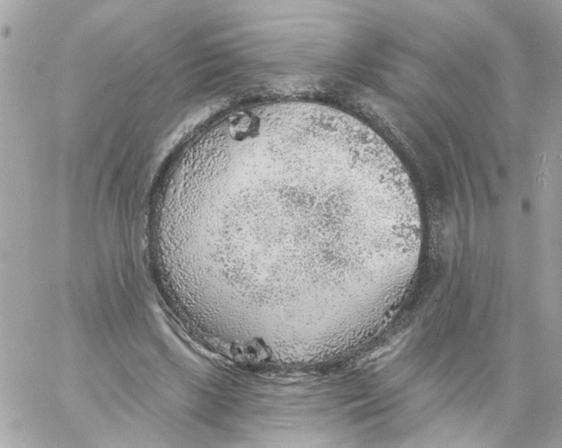 X0000059040443200511041641