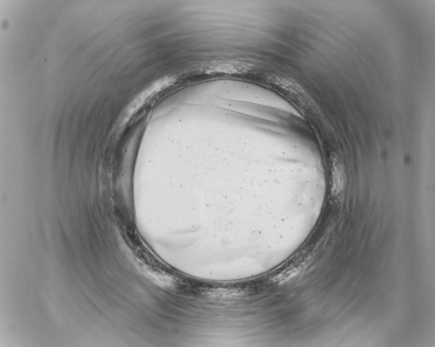 X0000059040444200511041641