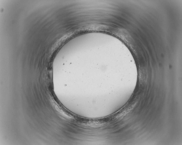 X0000059040445200511041641