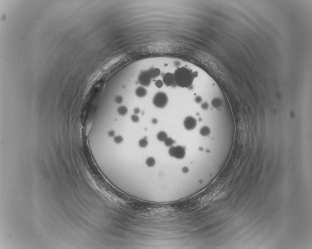 X0000059040446200511041641