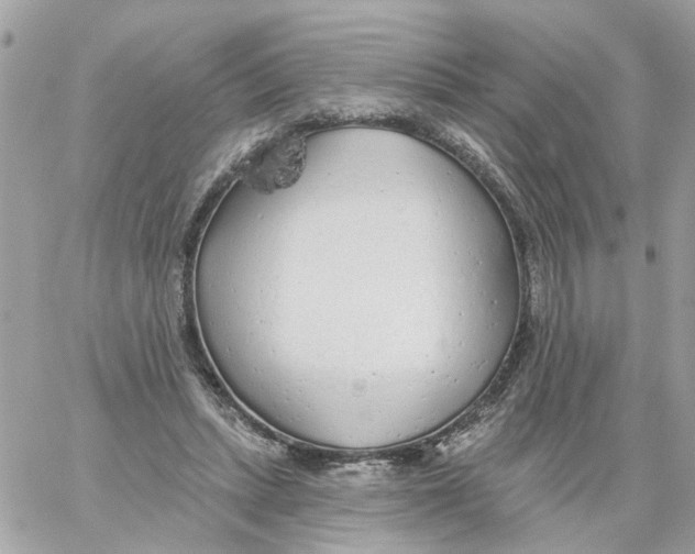 X0000059040447200511041641