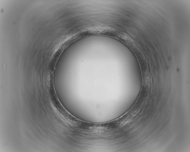 X0000059040448200511041641