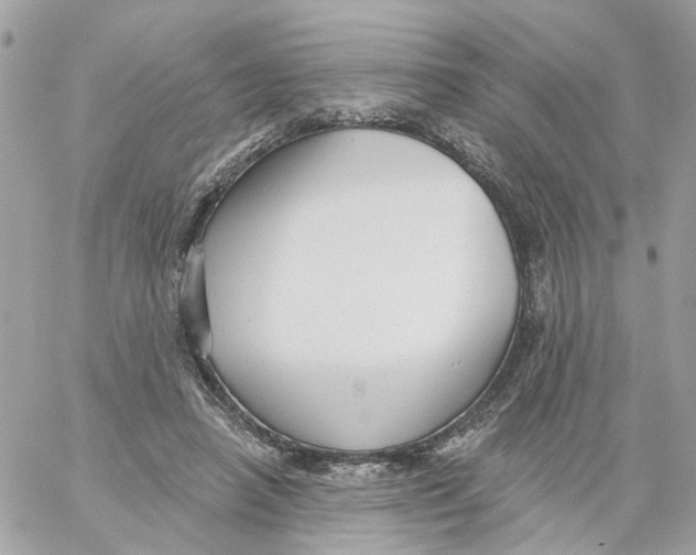 X0000059040450200511041641