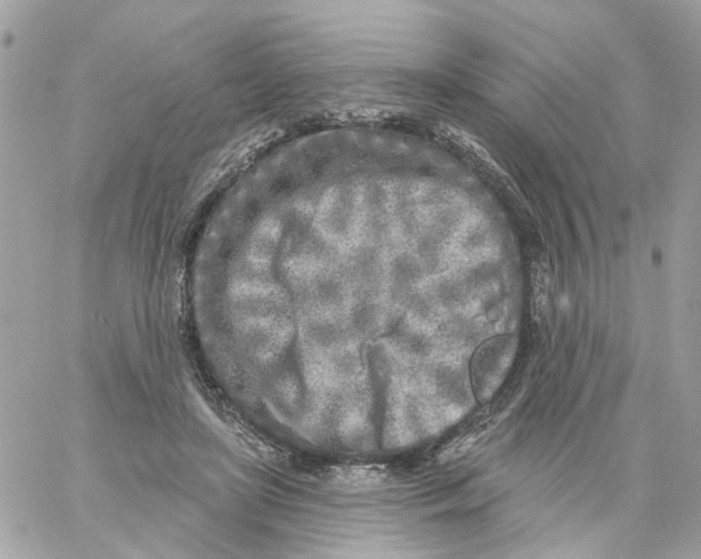 X0000059040451200511041641