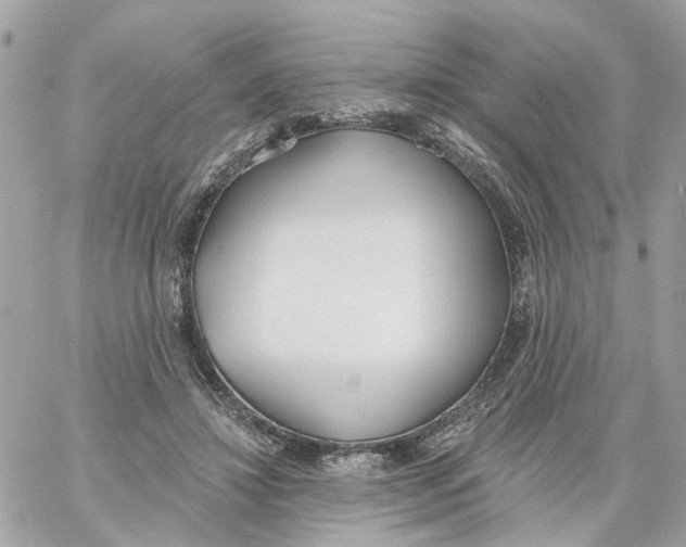 X0000059040452200511041641