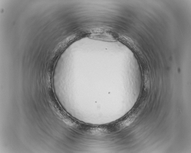 X0000059040453200511041641