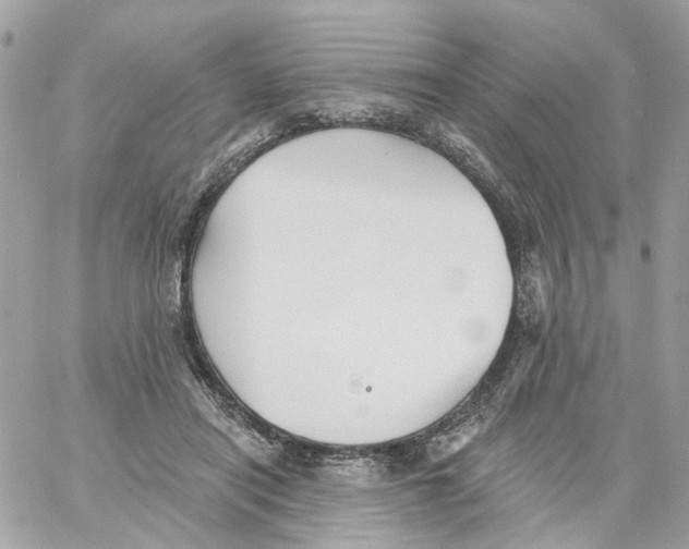 X0000059040454200511041641