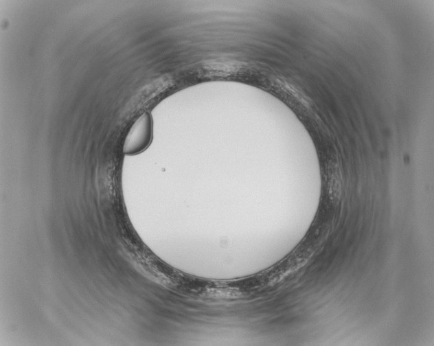 X0000059040455200511041641