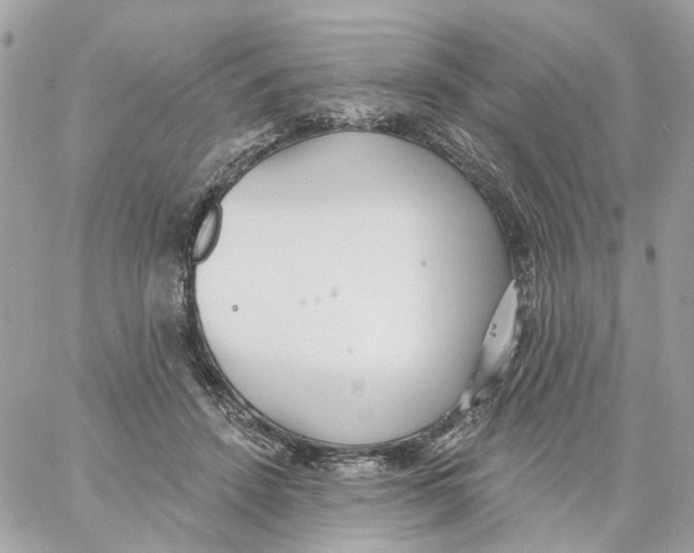 X0000059040456200511041641