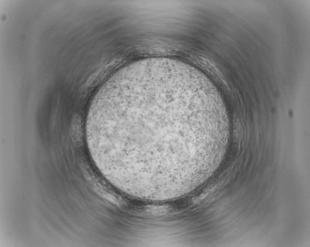 X0000059040457200511041641