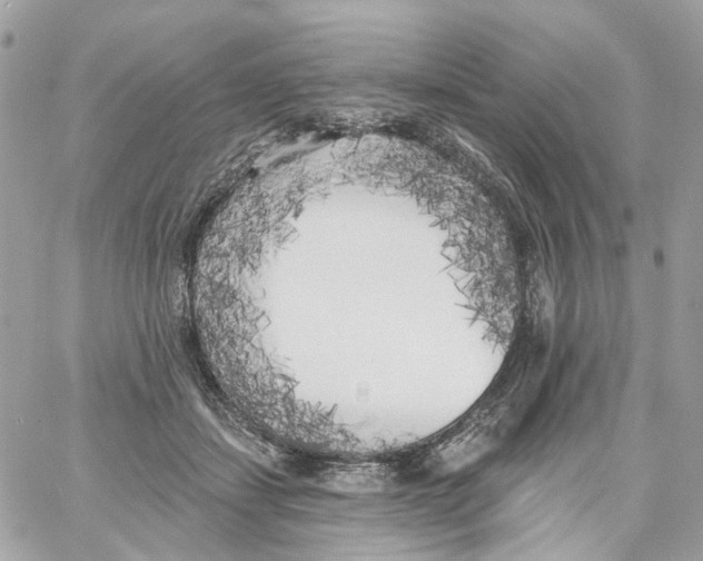 X0000059040459200511041641