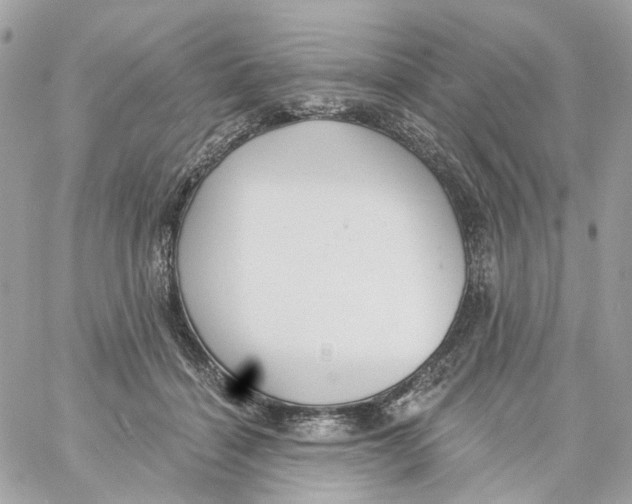 X0000059040460200511041641