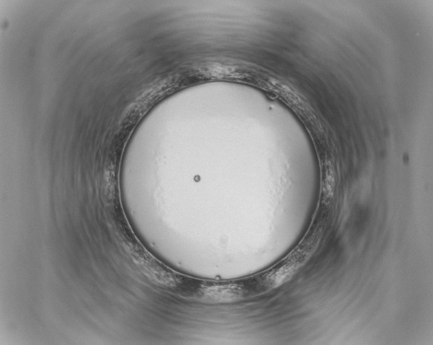 X0000059040461200511041641